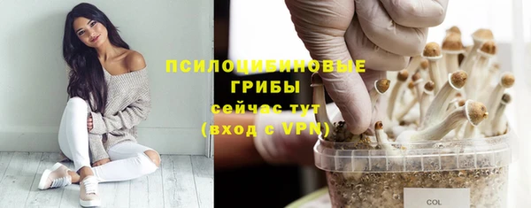 a pvp Абаза