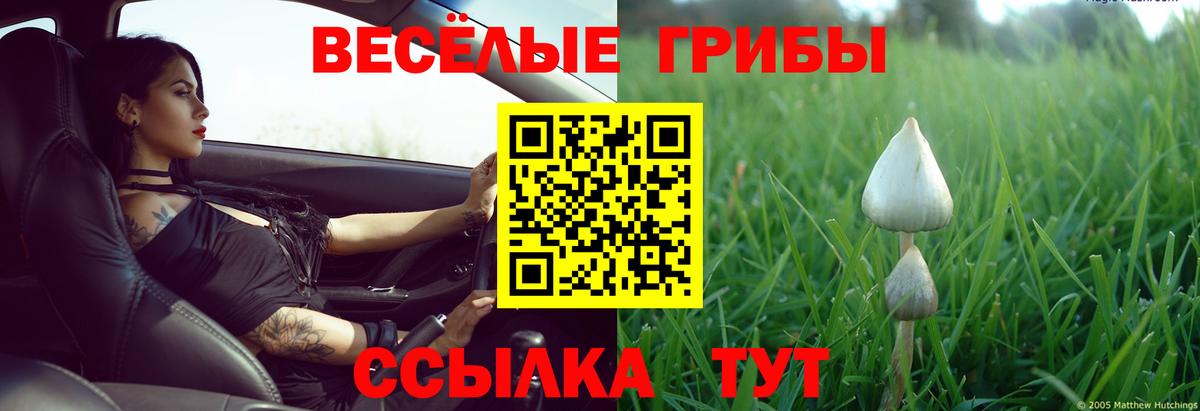 Янаул  Галлюциногенные грибы прущие грибы  наркотики  Вход с VPN 