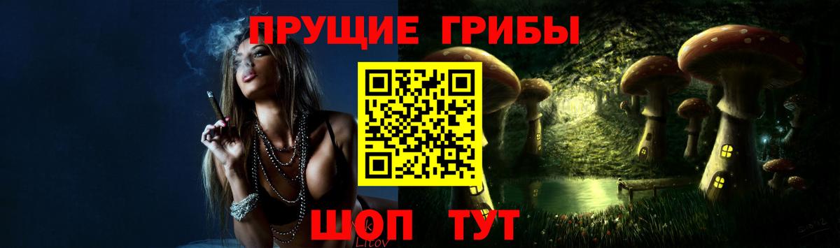 Галлюциногенные грибы Psilocybe Янаул
